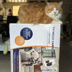 Carpet Cleaner 