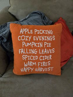 Fall Harvest Embroidered Throw Pillow Orange 16x16 Decorative Autumn Decor