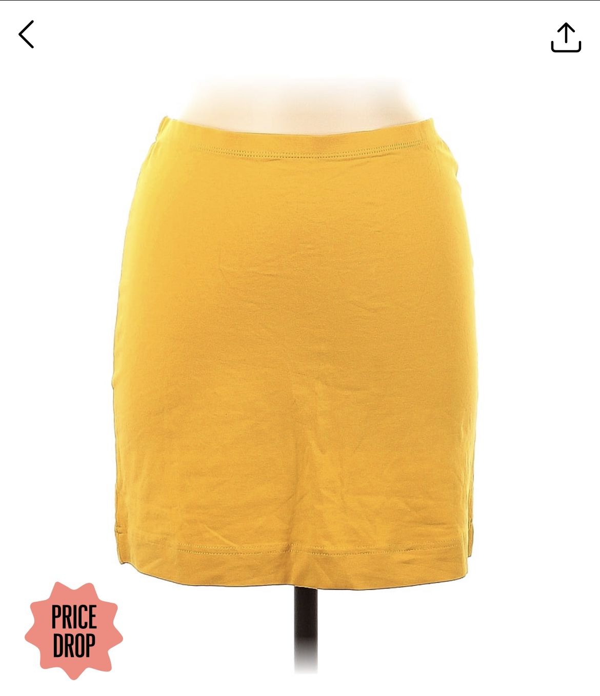 H&M Skirt