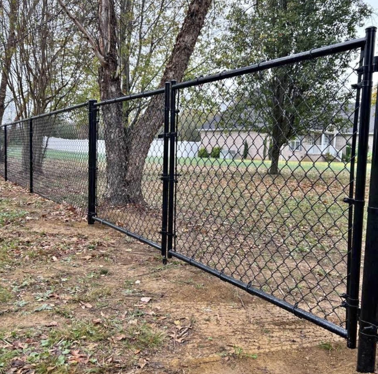Fence