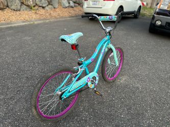 Girls 20” Bike Schwinn