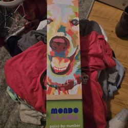 Paint By Number Canvas Kit