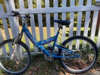 Mountain Bike