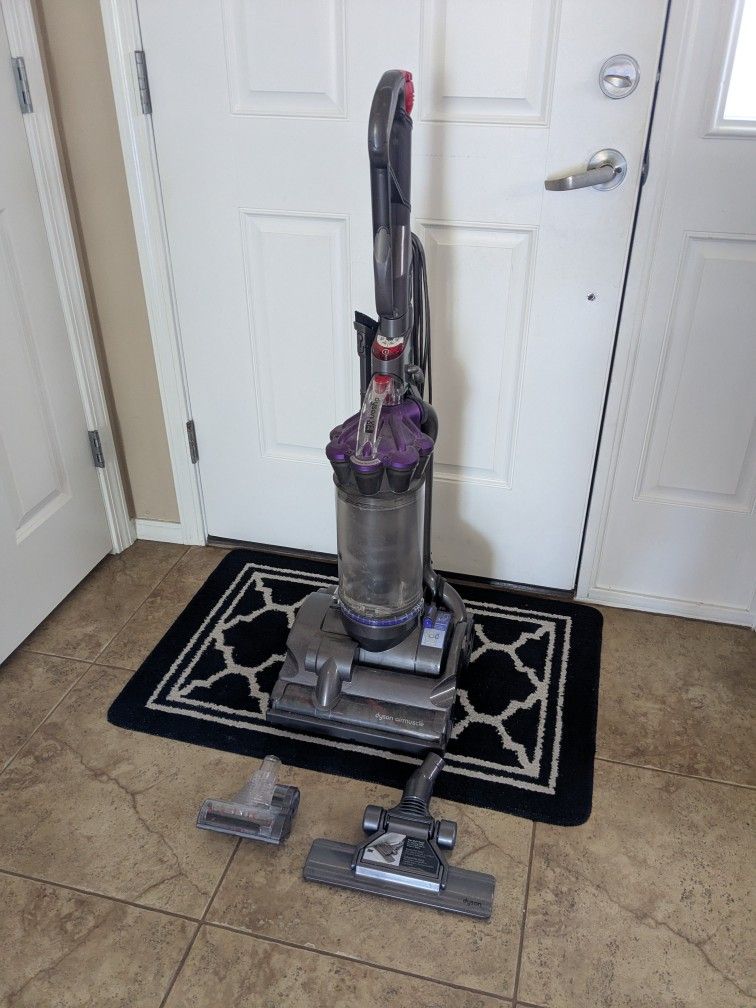 Dyson DC28 Pet Vacuum
