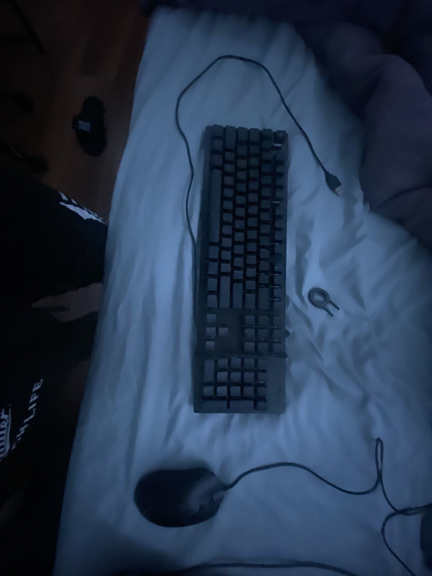 Gaming Mouse and Keyboard (RGB)