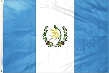 (Brand New) Argentina 3x5 foot (90x150cm) Polyester National Flag - FIFA World Cup
