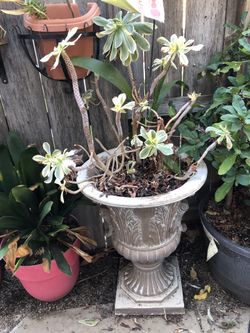 BEAUTIFUL SET OF PLANTEES VASES