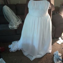 Wedding  Dress.  Veil.    Petticoat 