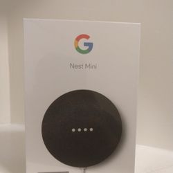 Google Nest Mini