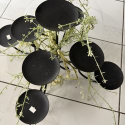 Base De Home Interior 