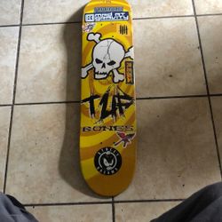 Scull  Skateboard 
