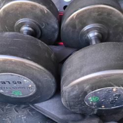 Hampton Urethane 65lb Dumbbells Pair
