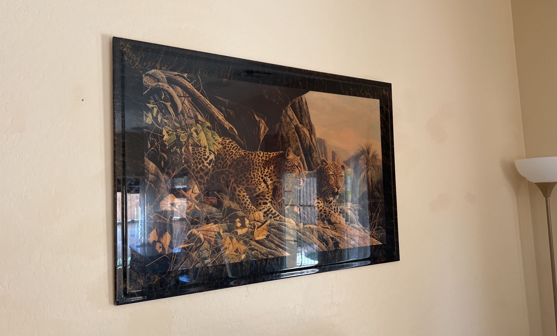 Picture Frame 42 Inches WX28” Tall