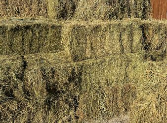 T&A Hay T/A Hay Timothy And Alfalfa Hay Bale of hay