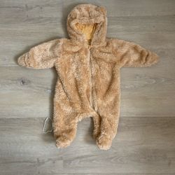 Bear Coverup 