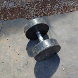 Single 65lb Dumbbell