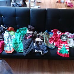 Dog Clothes