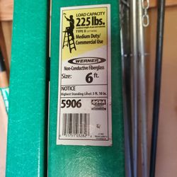 Ladder- Werner