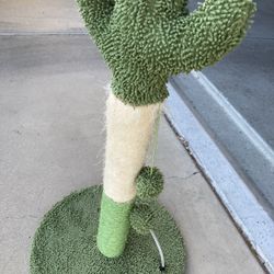 Cat Scratching Post