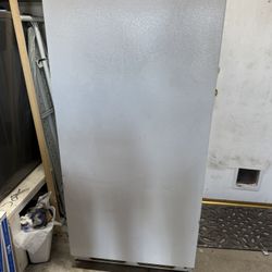 Frigidaire Commercial Freezer