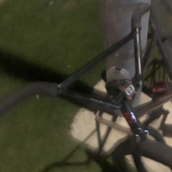 Gt Performer WILL FRAME TRADE