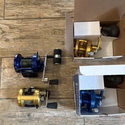 Saltwater Baitcasting Reels