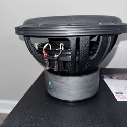 12” DS18 ZXI Sub