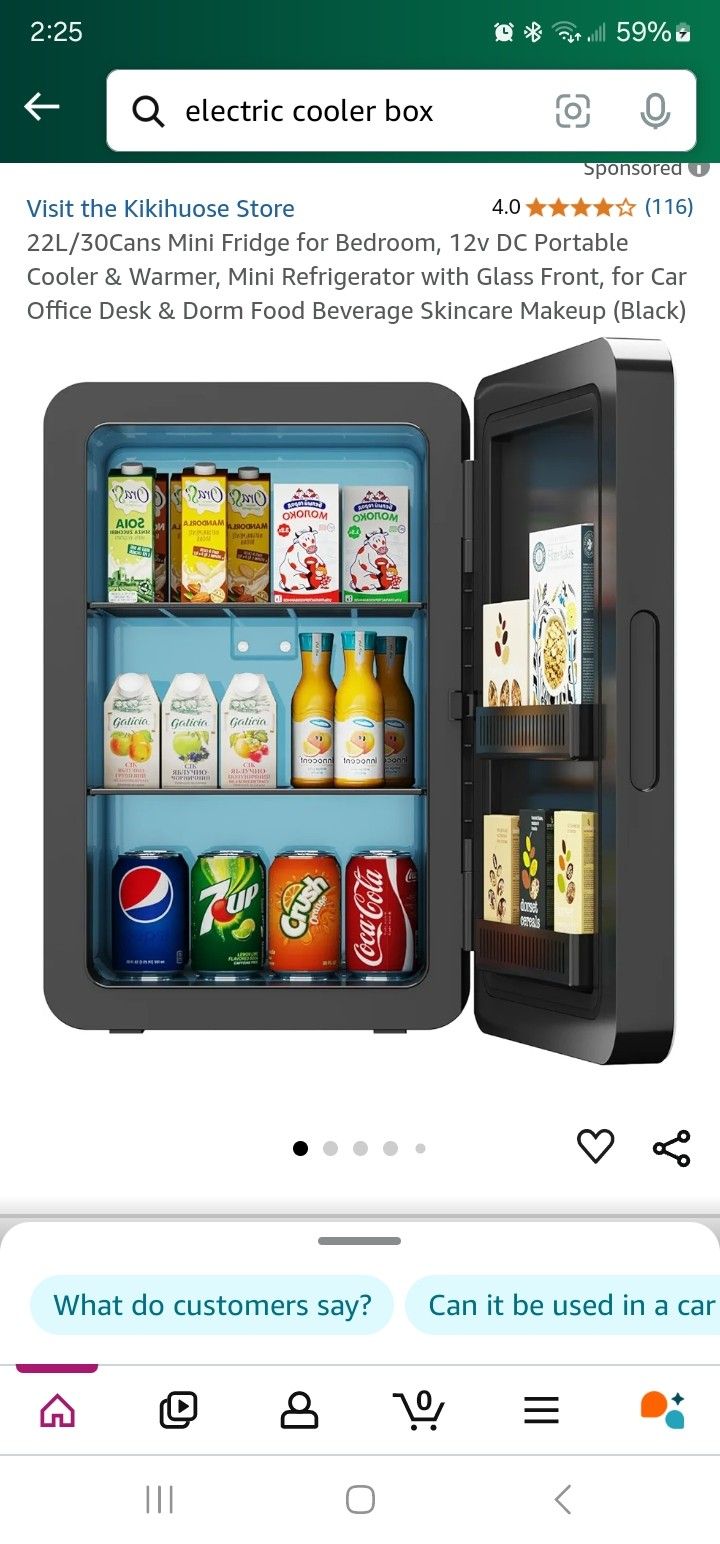 Mini Fridge
