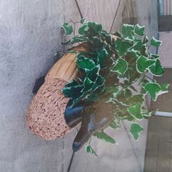 Decorative duck