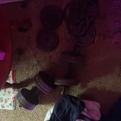 2x Dumbbells Assorted Weight Plates 