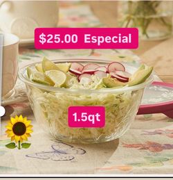 Conteiner de 1.5qt Para Salsas Guarda Comidas Postres Ensaladas Especial $25.00  Línea Wildflowers Princess House Ventas Finales