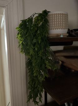 Artificial Hanging Ruscus Bush