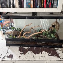 Reptile Enclosure