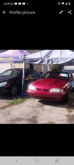 Fox body