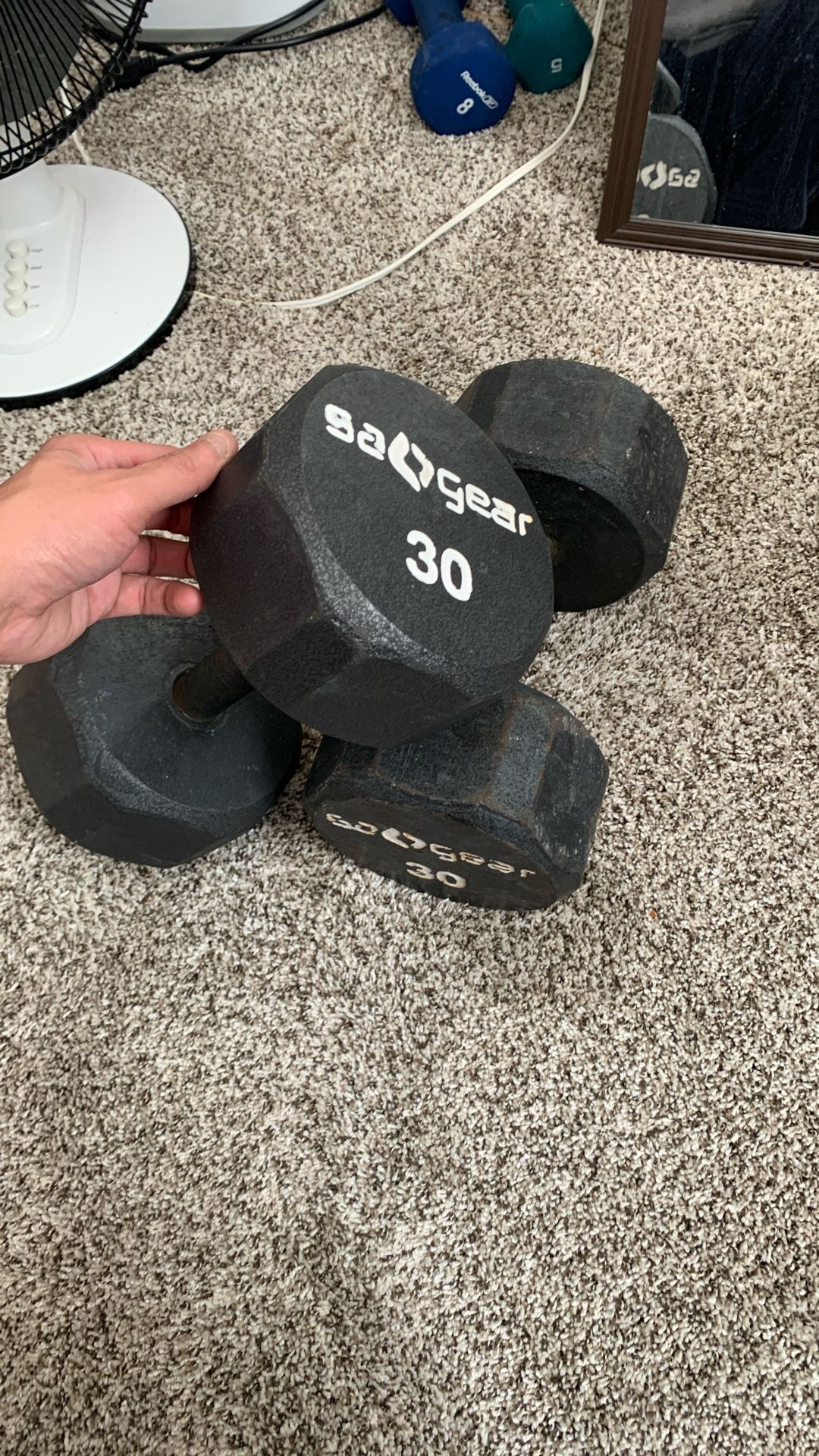 30lb Dumbbells