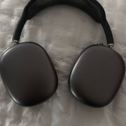 AirPods Pro Max 