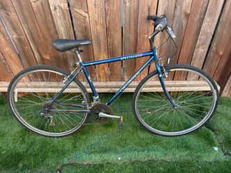 Specialized Bike 35” wheels