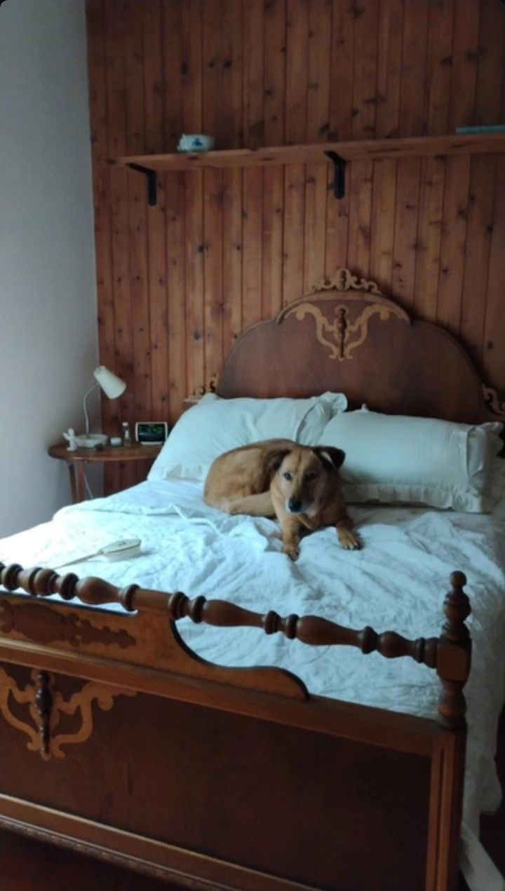 Antique Bed Frame
