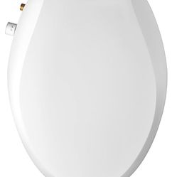 Bidet toilet seat