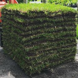 Freshest Sod!!