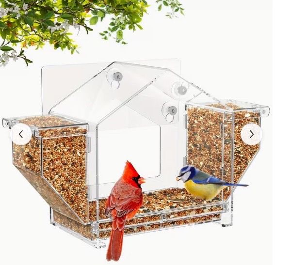 Bird feeder
