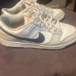 Nike dunks size 9.5