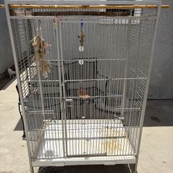 Parrot Cage