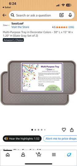 Multi-Purpose Tray in Decorator