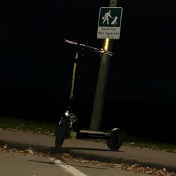 Electric Scooter 