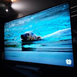 Sony 65 Inch Smart Tv 