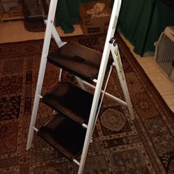 Graebel Step Ladder 