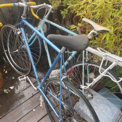 Motebecon Complete And Tuned. And A Custom Dixie Bike.  