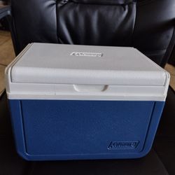 Vintage Coleman Cooler  Fits A 6pack 