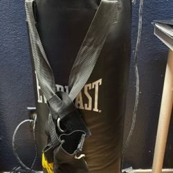 Punching bag Everlast